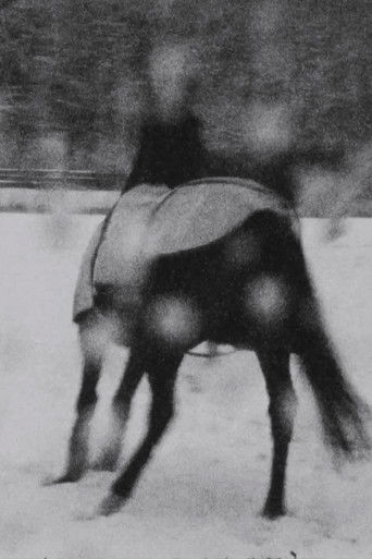 Poster for Im Schnee