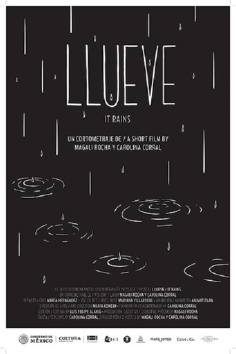 Poster for It Rains