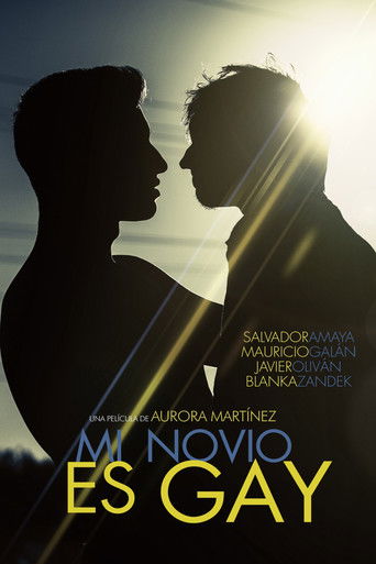 Poster for My Boyfriend Is Gay