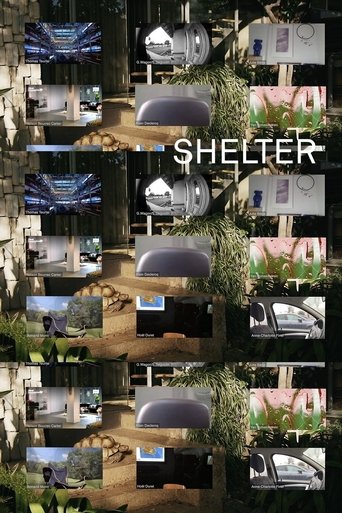 Poster for Shelter