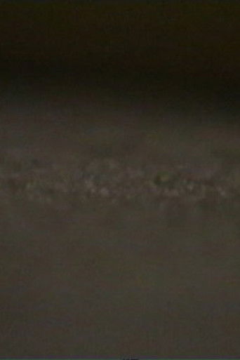 Poster for rug