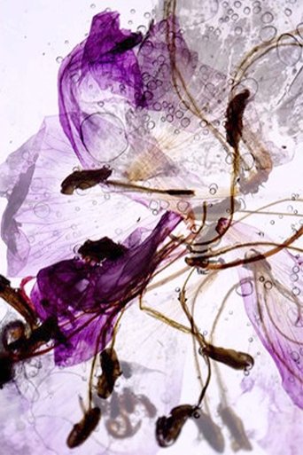 Poster for Flow