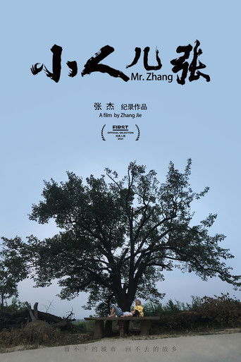 Poster for Mr. Zhang