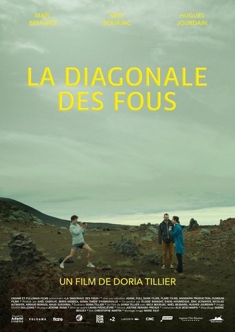 Poster for La diagonale des fous