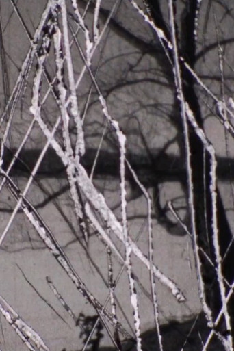 Poster for Snow