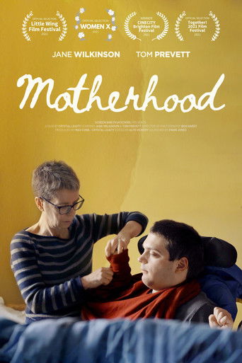 Poster for Motherhood