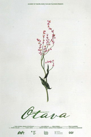Poster for Otava