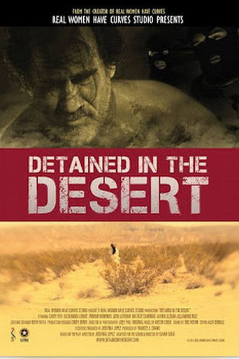 Poster for Detained in the Desert