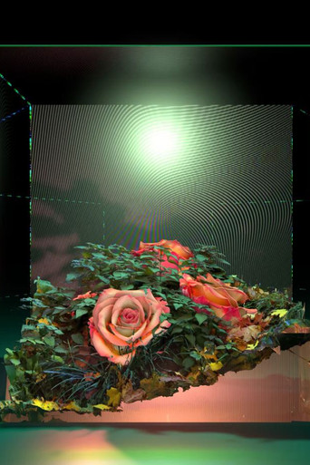 Poster for FLORALIA III