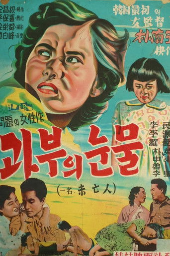 Poster for The Widow