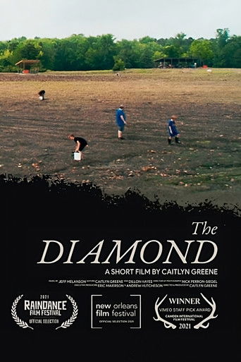 Poster for The Diamond