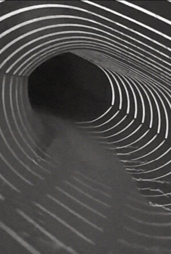 Poster for Limbo