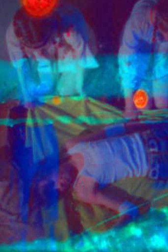 Poster for Daisies Roll Up Film