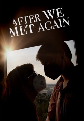 Poster for After We Met Again
