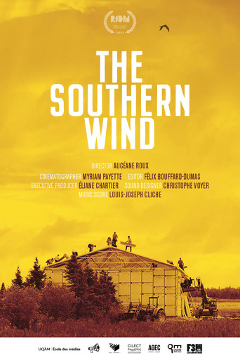 Poster for The Southern Wind