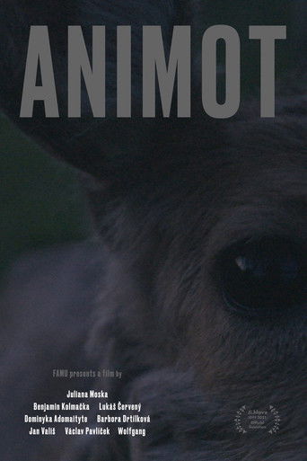 Poster for Animot