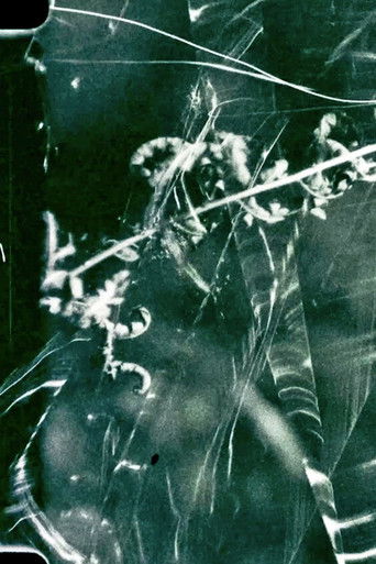 Poster for To Live and Die in the Shadows: Ferns, Survival and Horizontal Gene Transfer