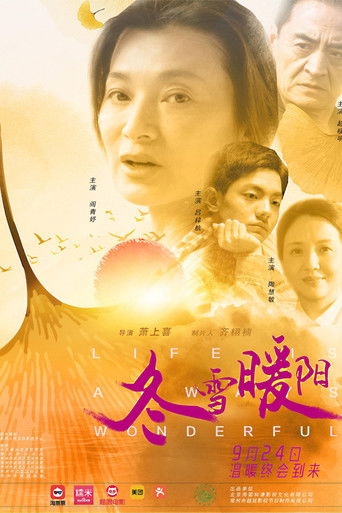 Poster for Life Is Always Wonderful