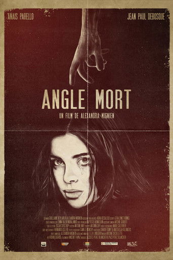 Poster for Blind Spot