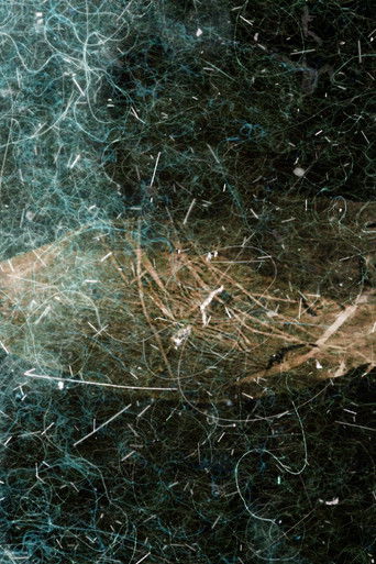 Poster for Dust Poetry