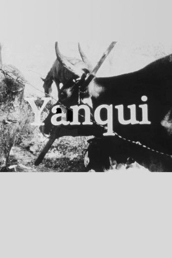 Poster for Yanqui WALKER and the OPTICAL REVOLUTION