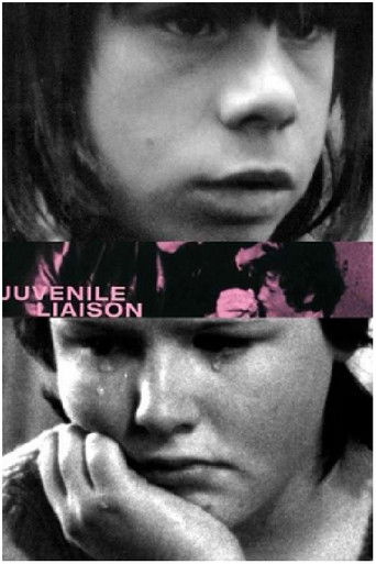 Poster for Juvenile Liaison