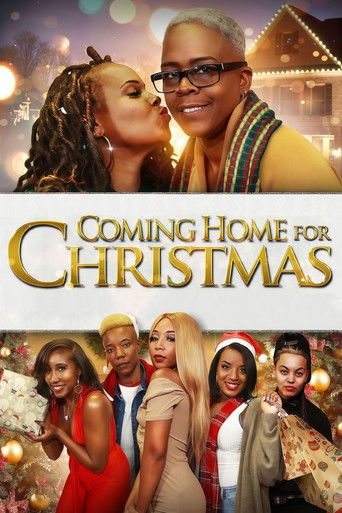 Poster for Coming Home for Christmas