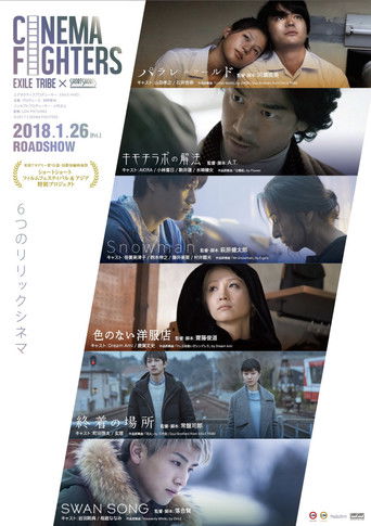 Poster for Cinema Fighters