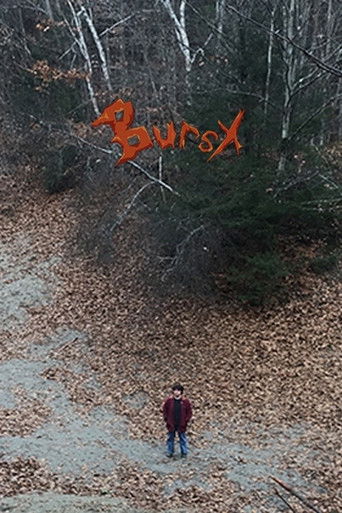 Poster for Burst