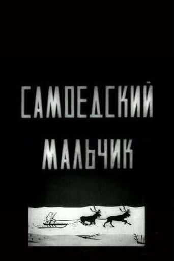 Poster for Samoyed Boy