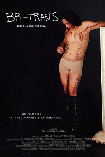 Poster for BR Trans