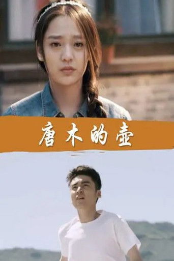Poster for 唐木的壶