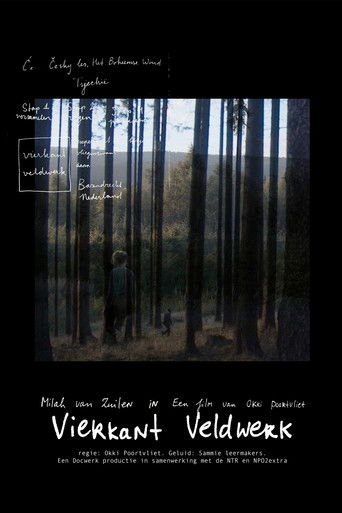 Poster for Square Fieldwork