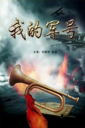 Poster for 我的军号