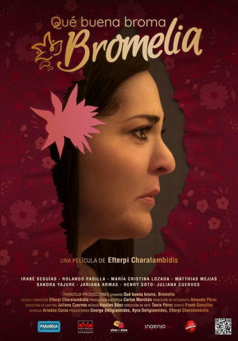 Poster for Qué buena broma, Bromelia