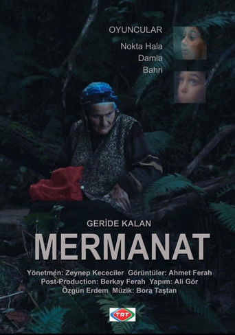 Poster for Geride Kalan Mermanat