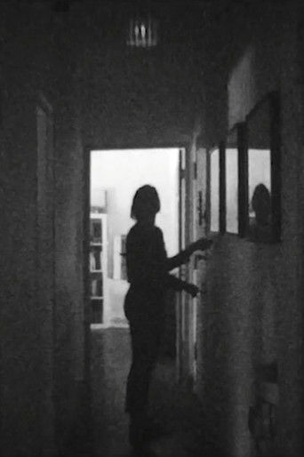 Poster for APERTURE/CORRIDOR