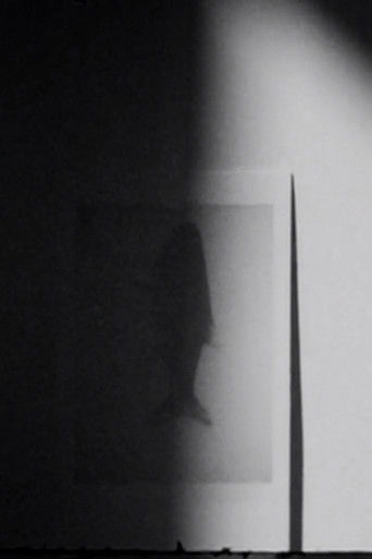 Poster for shadow swells