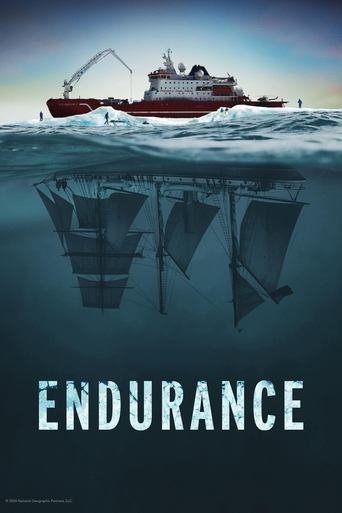 Poster for Endurance