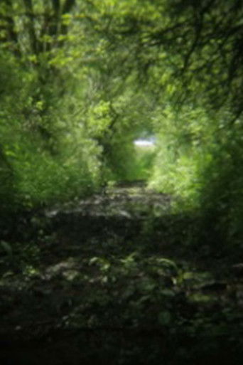 Poster for On Location