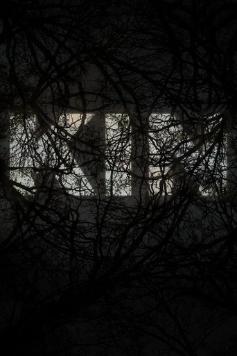 Poster for KIN