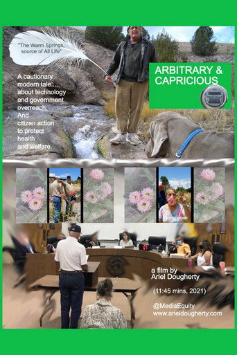 Poster for Arbitrary & Capricious