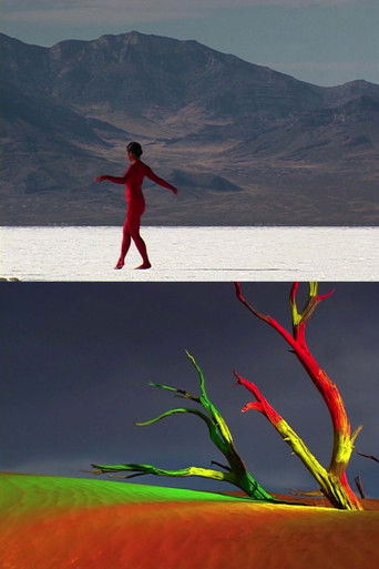 Poster for bodies of the desert