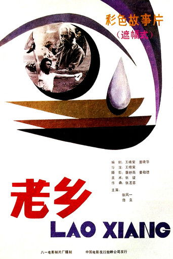 Poster for 老乡