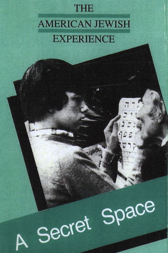 Poster for A Secret Space