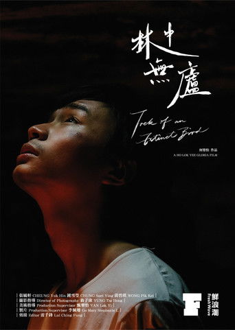 Poster for Trek of an Extinct Bird