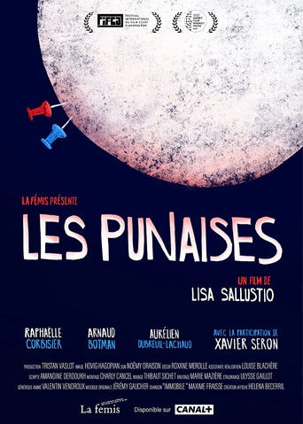 Poster for The Push Pins