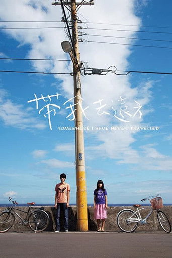 Poster for Somewhere I Have Never Travelled