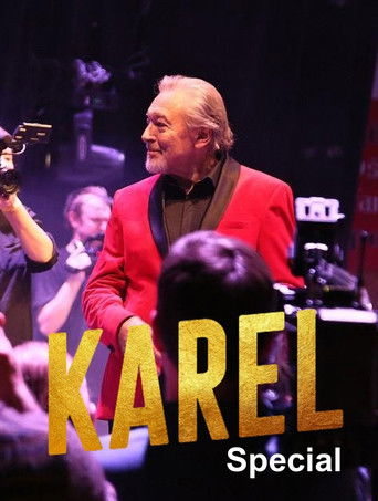 Poster for Karel Special
