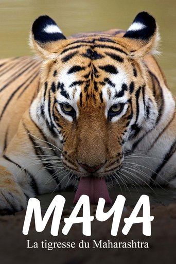 Poster for Maya, la tigresse du Maharashtra